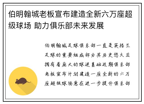 伯明翰城老板宣布建造全新六万座超级球场 助力俱乐部未来发展