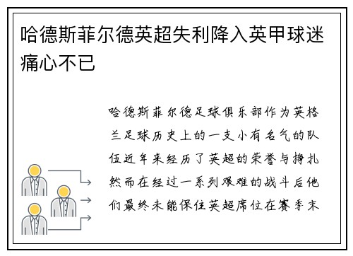 哈德斯菲尔德英超失利降入英甲球迷痛心不已